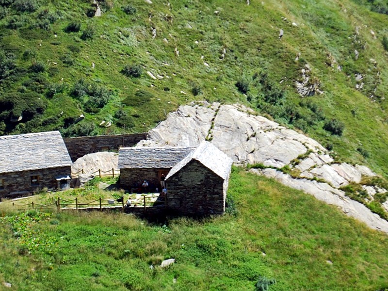 Straolgio Alp, m 1,803