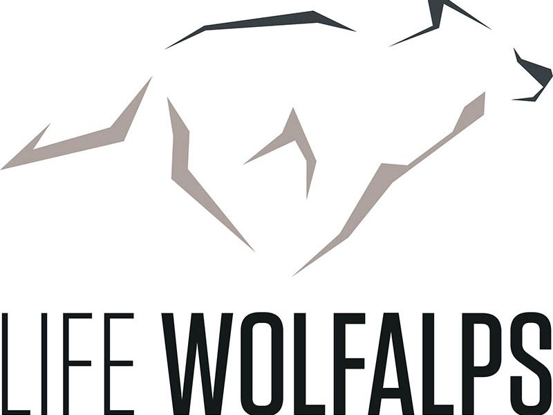 Logo lifewolfalps