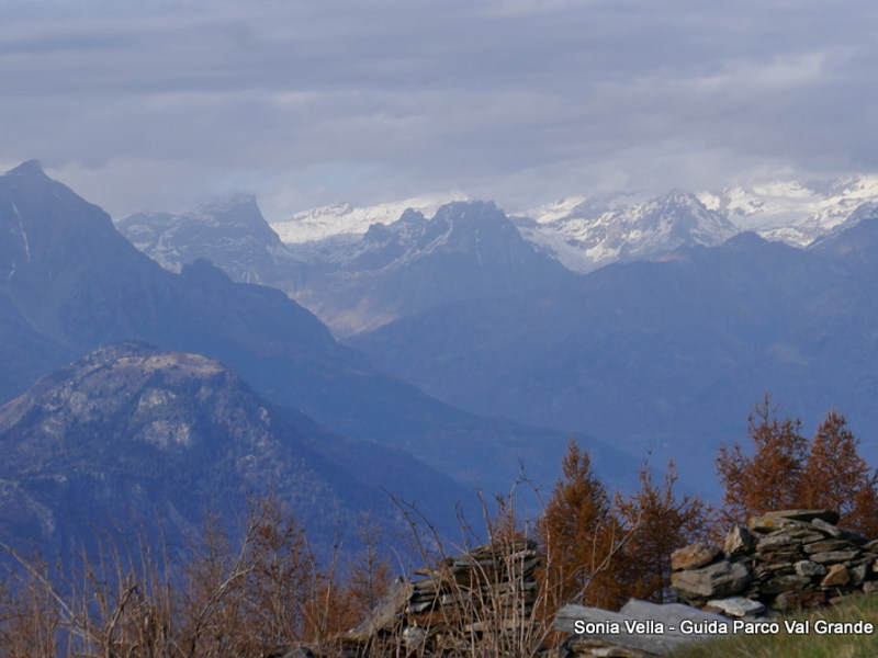 Vista sui monti di Devero da Alpe Pozzolo