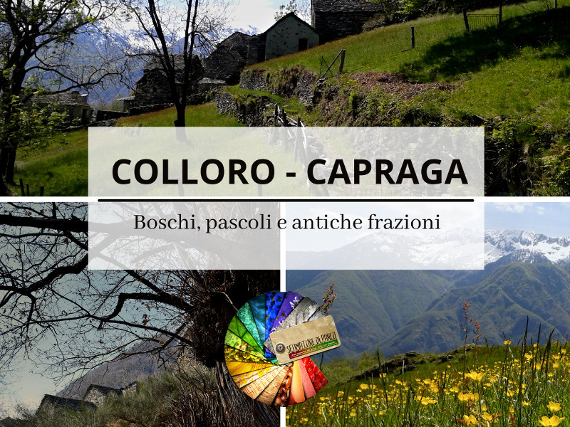 Da Colloro a Capraga: boschi, pascoli e antiche frazioni